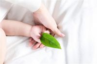 汇明A+墙布：绿色环保建材是未来主要发展趋势