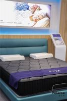 左右分区、八区精准承托，普拉眠床垫的“智能”远超你想象！