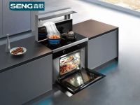 领跑行业！森歌集成灶荣获MUSE美国创意大奖。王者之姿，再度加冕！