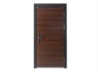 日上入户门：行业的首选