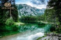 法国顶奢DOLOMIA官方曝光顶级绿鳍枕，限量公布发售！