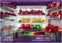 卡萨帝 F＋鉴赏家冰箱长沙首发，更保鲜，更完美厨居，更完美的家