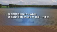 “十四五 ” 中国这样保障粮食安全