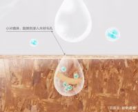 澳思柏恩阻燃专家，筑劳绿色“防火墙”