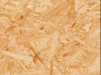 千年舟绿色工程行，打造绿色人居见证城市发展