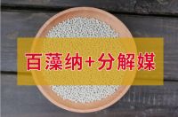 怪不得邻居家装修完没味道，下套房装修除甲醛我也这样做，太实用了