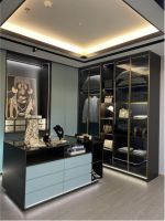 5A大商系列报道之榜样力量 第八期 大亚湾王总