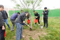 第十座科勒林扎根山东淄博 科勒公司践行公益环保，助力生态建设事业