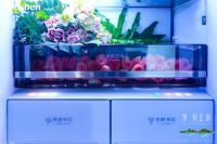 囤积食材问题多?容声生熟分储冰箱给你答案!
