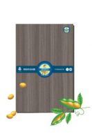 板材环不环保，一“胶”就知道