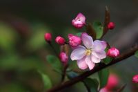 云南发现一户人家庭院里！设计那叫一个漂亮！满满的田园气息