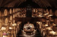 奖讯 | 蔡雨洋荣获时尚礼赞——行业影响力奖