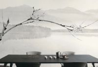 乘风破浪，逆势而为！特普丽实力斩获三大奖项，荣誉榜再添新星！