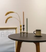 濒危动物色彩内墙漆，让家更独特