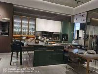 邀周晓鸥助阵欧派Health+抗菌厨房空间发布 梵华怡居服务再升级