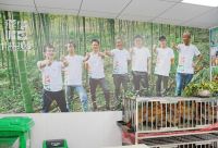 大学生养鸡屈才吗？多名大学生返乡创业竹林找鸡