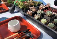 观景半山别院倾情演绎春山雅集生活美学