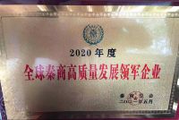 奋进新时代，融入新格局｜第十一届全球秦商大会开幕，东易日盛获评“全球秦商高质量发