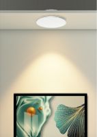 当“红”不让，小器鬼新品无边框筒灯荣获德国红点奖