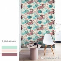 夏日里的薄荷糖