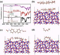 浙大广东工业大学林展教授最新研究成果有望促进SiOx负极的商业化应用