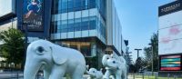 万瑞府：坐拥省会城市核芯资产 以极致奢华代言塔尖身份