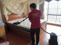 东宝床垫：小心床垫里看不见的“健康杀手”