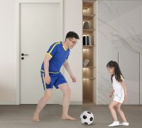 欧派碳晶生态门：你想要的我“门”都有