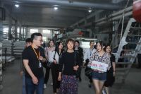 【2021软装行业品牌行—寻找中国好软装】探访小轩窗