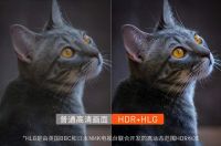 618电视盒子怎么选？记住这几点，建议码住！