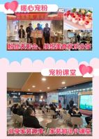 宠你一“夏” 百安居这波宠粉我先瑞思拜！