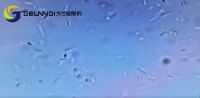 后疫情时代的消费者:厨房台面三千,我只选有抗菌功能的台面