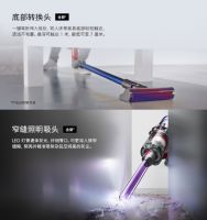 ​家里的狗狗掉毛怎么办?清洁神器来帮你