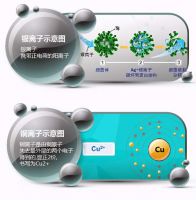 大宝漆零纯+植物抗菌墙面漆，天然成分好安心