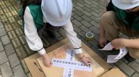 千年舟绿色工程行丨阻燃胶合板公开检测