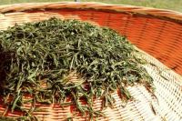 除醛方法怎么选?老师傅提醒,跟着这样做可以少入坑