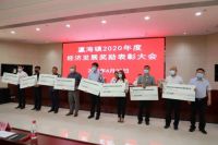 美巢斩获“瀛海镇2020年度经济发展科技创新奖”