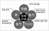 重新定义除甲醛 “蓝洛石”开启全面精准净化新时代
