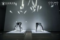 COLMO 特展“生生与共”开幕,探寻数字时代下的共融共生
