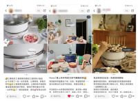 消费观察:德国蓝宝电火锅如何成为众多明星的心头好