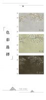 【领绣·菁华】这样的中式前卫风，你能hold住吗？