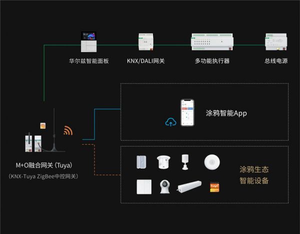 华尔兹与GVS M+O融合方案