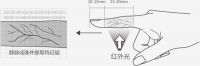 指纹识别升级——指静脉识别,性能更卓越,智能锁消费新国潮