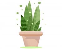 智能化生产| 科技赋能 助力澳思柏恩智能化生产