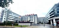金凯德:打造独属的创新之路,“1+N”成功收获万千拥趸