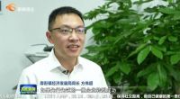 数字化转型, 家具重镇的逆境新生!