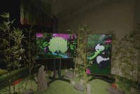 三星电视亮相《体素方舟》数字艺术展,助力探索保护濒危动物新未来