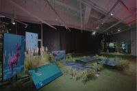 三星电视亮相《体素方舟》数字艺术展,助力探索保护濒危动物新未来