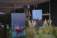 三星电视亮相《体素方舟》数字艺术展,助力探索保护濒危动物新未来