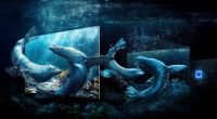 打造沉浸视觉体验,三星运用创新技术描绘8K电视的现在与未来